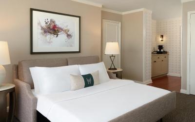 Executive Suite, 1 King