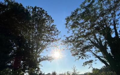 Appartement - Vue sur Jardin