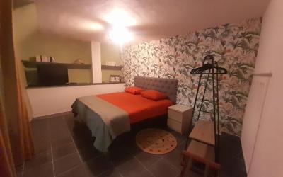 Appartement 1 Chambre Appartement 1 Chambre