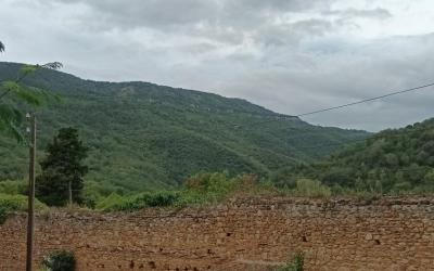 Chambre Quadruple avec Salle de Bains Privative