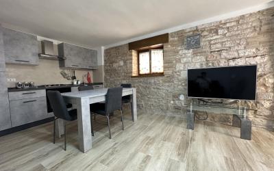 Appartamento con 1 Camera da Letto