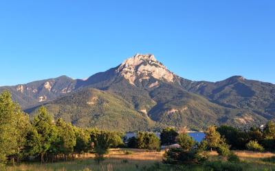 Appartement 1 Chambre