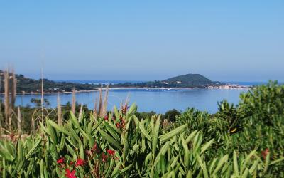 Studio - Vue sur Mer