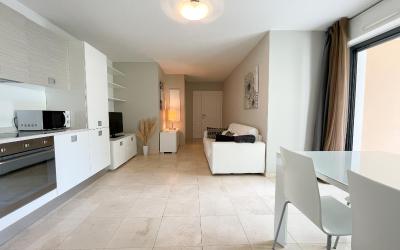 Appartement 1 Chambre