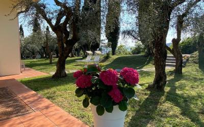 Camera King con Vista Giardino