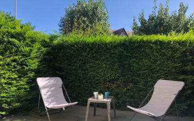 Appartement 1 Chambre