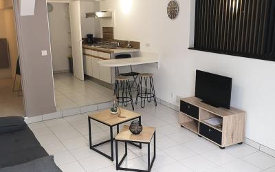 Appartement 1 Chambre