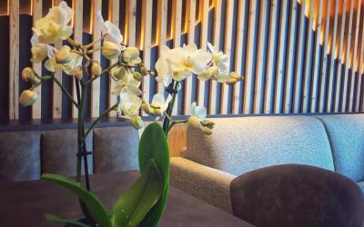 Appartamento con 2 Camere da Letto (4 Adulti) 