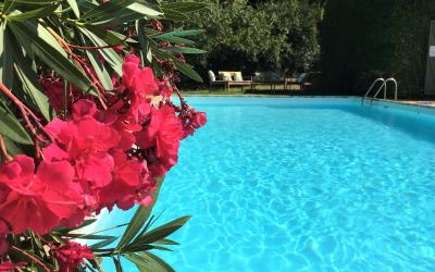 Chambre Triple Confort