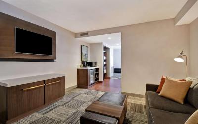 One-Bedroom King Suite