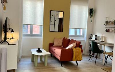 Appartement 1 Chambre