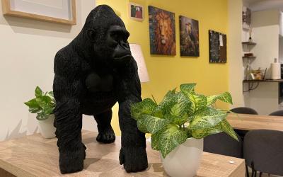 Chambre Quadruple avec Salle de Bains Privative Su00e9paru00e9e Chambre Quadruple avec Salle de Bains Privative Su00e9paru00e9e