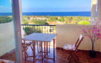 Appartement 1 Chambre