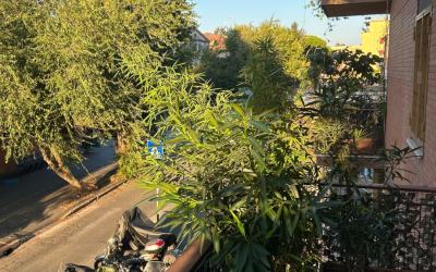 Camera Matrimoniale Basic