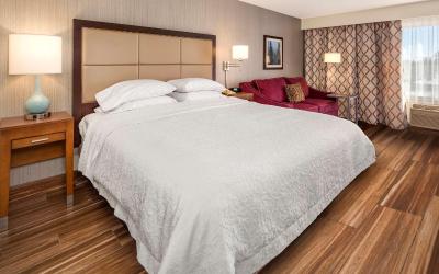 One-Bedroom King Suite - Non-Smoking