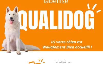 Appartement 2 Chambres Appartement 2 Chambres