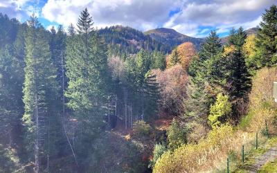 Appartement 2 Chambres Appartement 2 Chambres