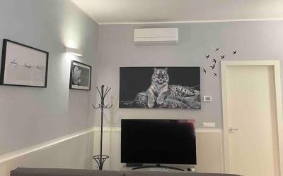 Appartamento con 1 Camera da Letto