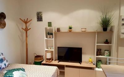 Appartement 1 Chambre
