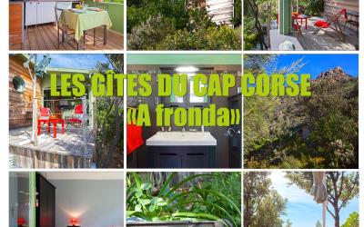 Appartement - Vue sur Mer Appartement - Vue sur Mer
