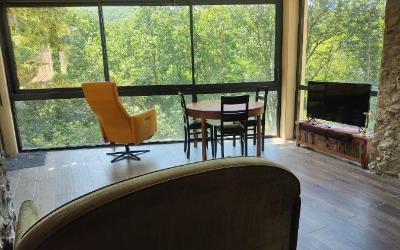 Appartement 1 Chambre