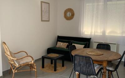 Appartement 1 Chambre