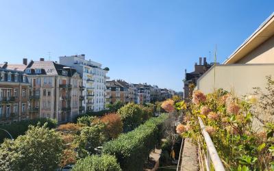 Appartement 1 Chambre Appartement 1 Chambre