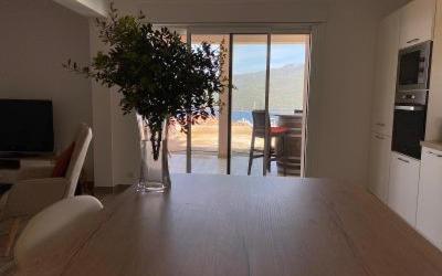 Appartement 1 Chambre