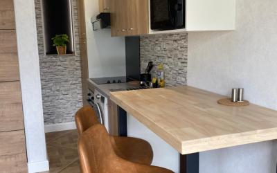 Studio avec Canapu00e9-Lit Studio avec Canapu00e9-Lit