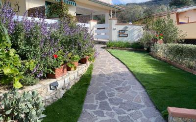 Appartamento con 1 Camera da Letto