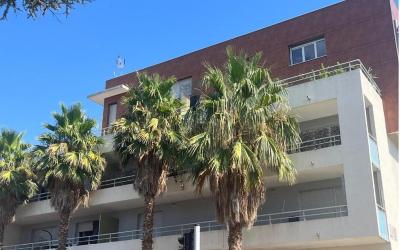 Appartement 1 Chambre Appartement 1 Chambre
