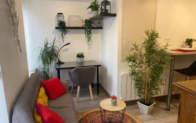 Appartement 1 Chambre