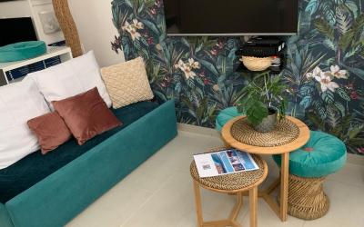 Appartement 1 Chambre