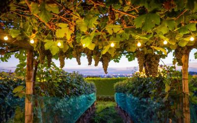 Camera Matrimoniale Deluxe