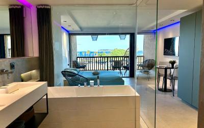 Appartement 1 Chambre