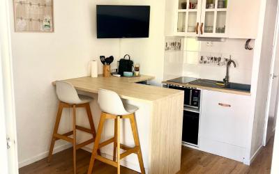 Appartement 1 Chambre