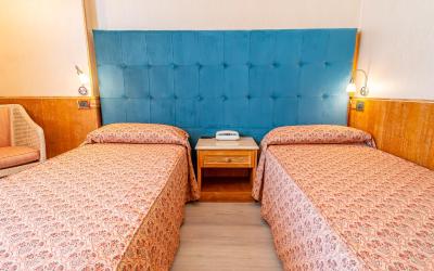 Camera Doppia con Letti Singoli