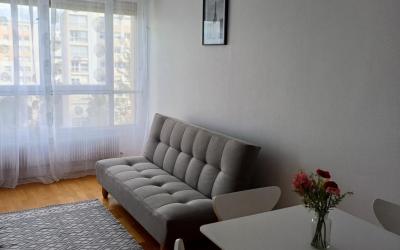 Appartement 1 Chambre