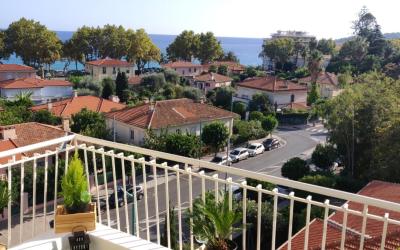 Appartement 1 Chambre