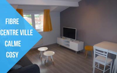 Appartement 1 Chambre