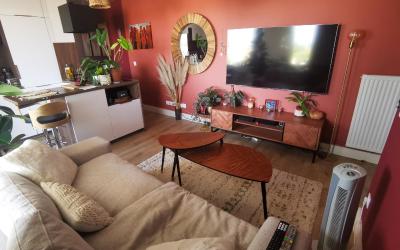 Appartement 1 Chambre