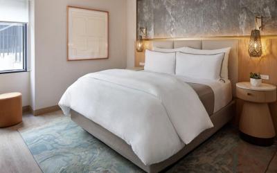Superior One-Bedroom King Suite with Sofa Bed
