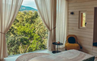Suite Deluxe avec Lit King-Size