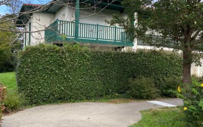 Appartement 1 Chambre