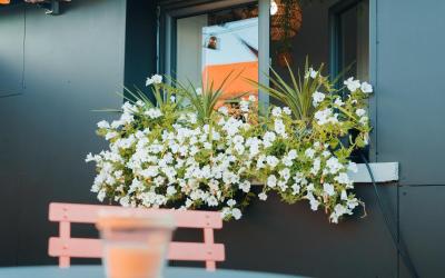 Chambre Double avec Terrasse