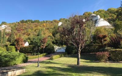 Appartement 1 Chambre Appartement 1 Chambre
