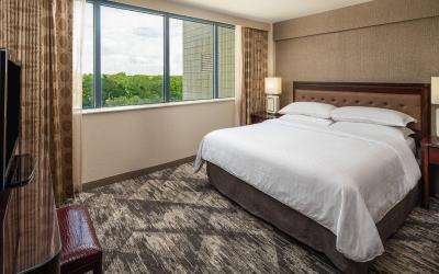 Club level, Suite, 1 King, Sofa bed, Central