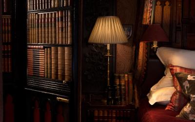 Deluxe Suite - Library