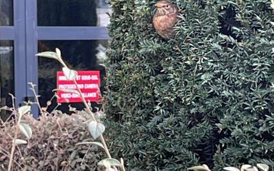 Appartement 1 Chambre Appartement 1 Chambre