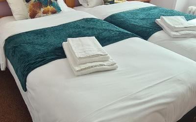 Chambre Double ou Lits Jumeaux